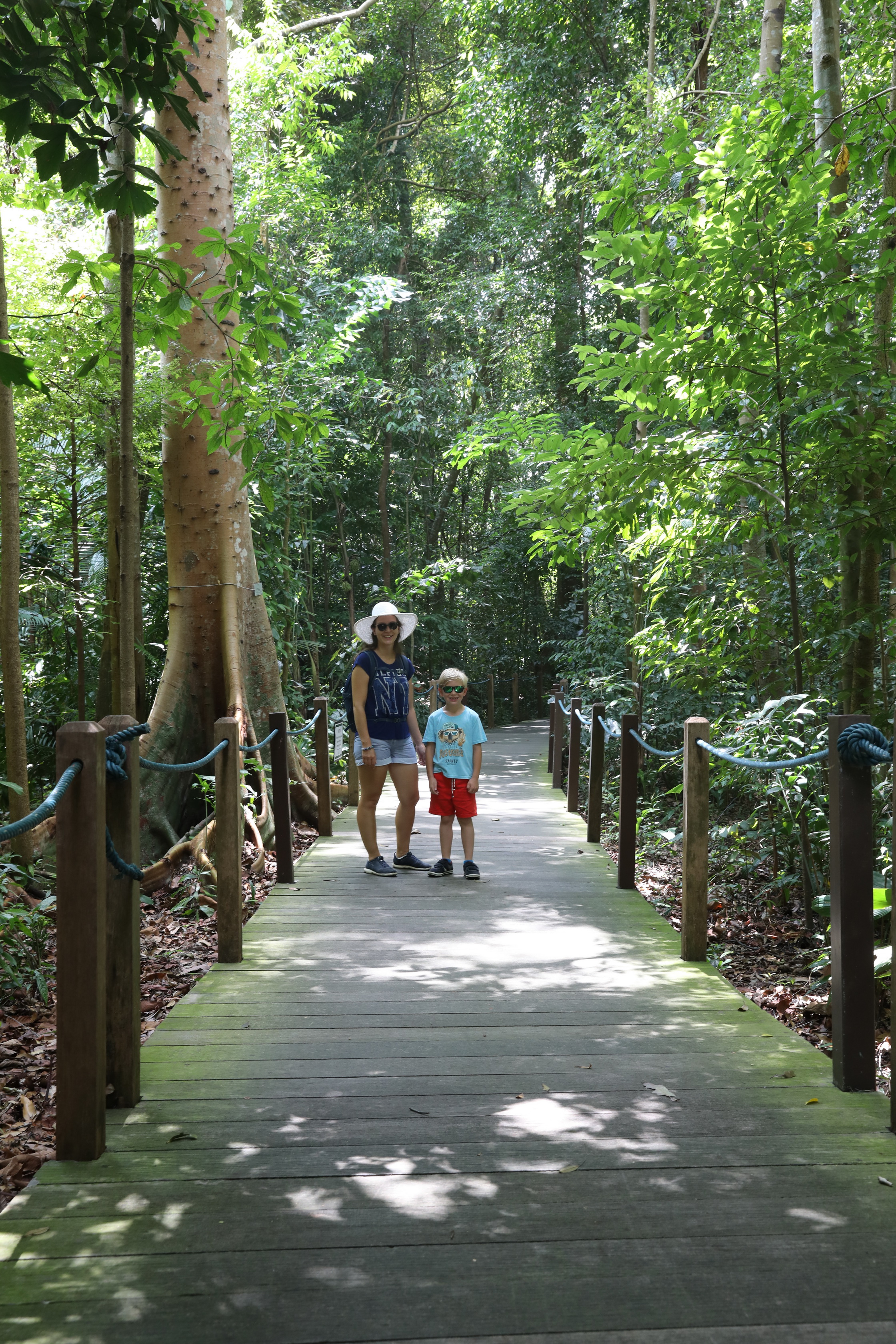 Regenwald in mitten der Stadt